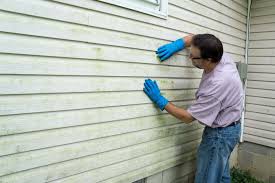 Best Custom Siding Design  in Swedesboro, NJ